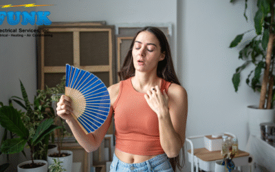 Beat the Heat: Why Your Air Conditioner Is Struggling & What to Do